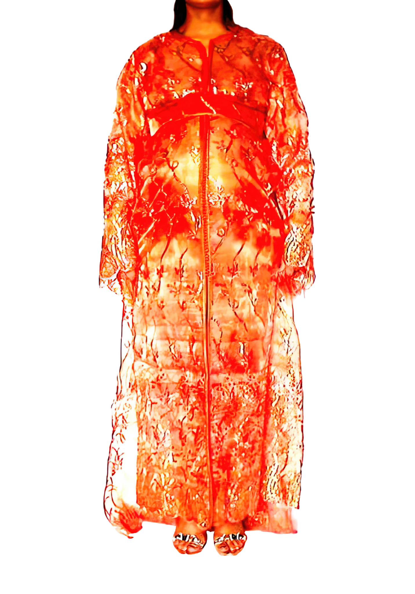 Le Corps Pansant - 2009